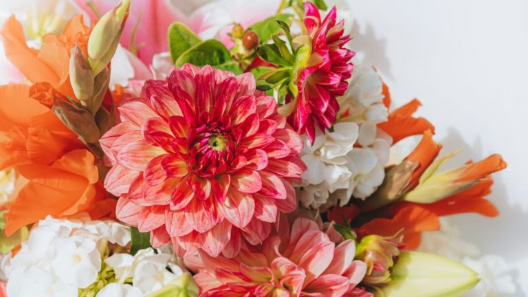 hack-florajet-fuite-donnees-1600x900.jpg